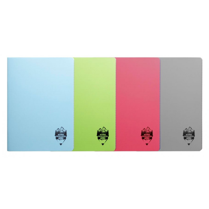 CAIET A4 80 FILE COPERTA PLASTIC ATINGE EXCELENTA CT482AR